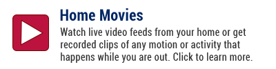 Video Monitoring options from Alarm Engineerning