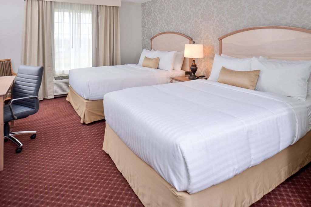 2 Queen Bed Studio gallery 1