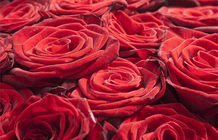 Romantic Weekend Package