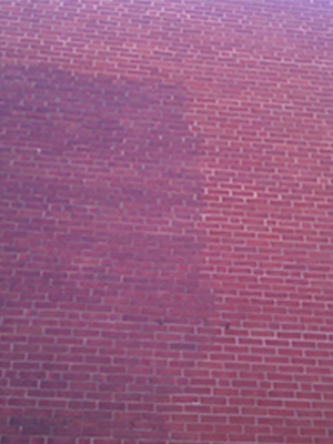 Tile & Grout Cleaning