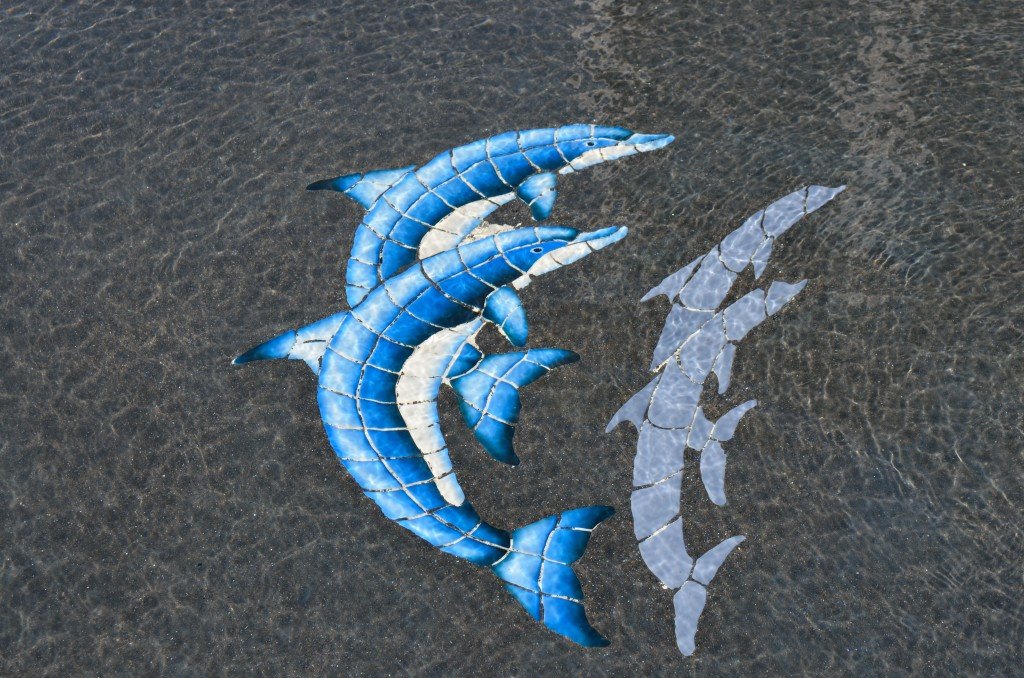 or dolphins