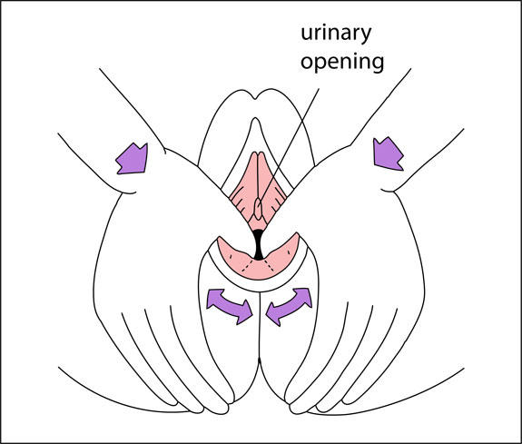 massage perineal