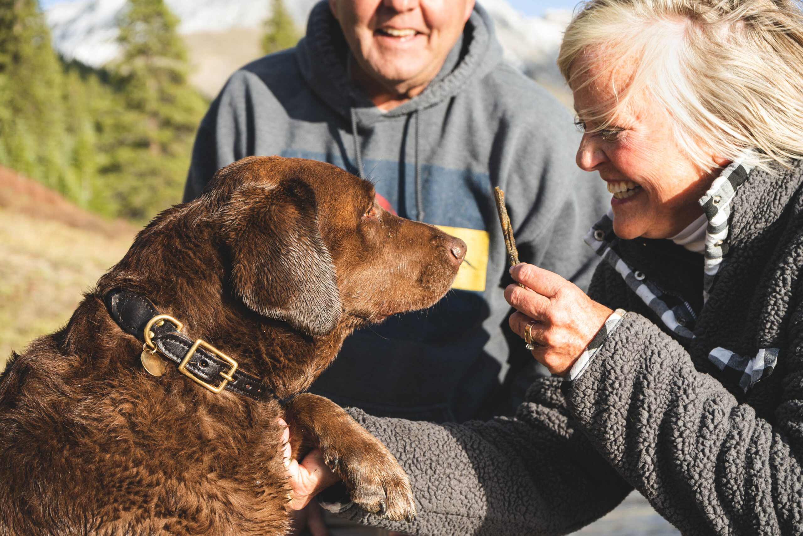 an older woman is petting a dog with a pair of scissors