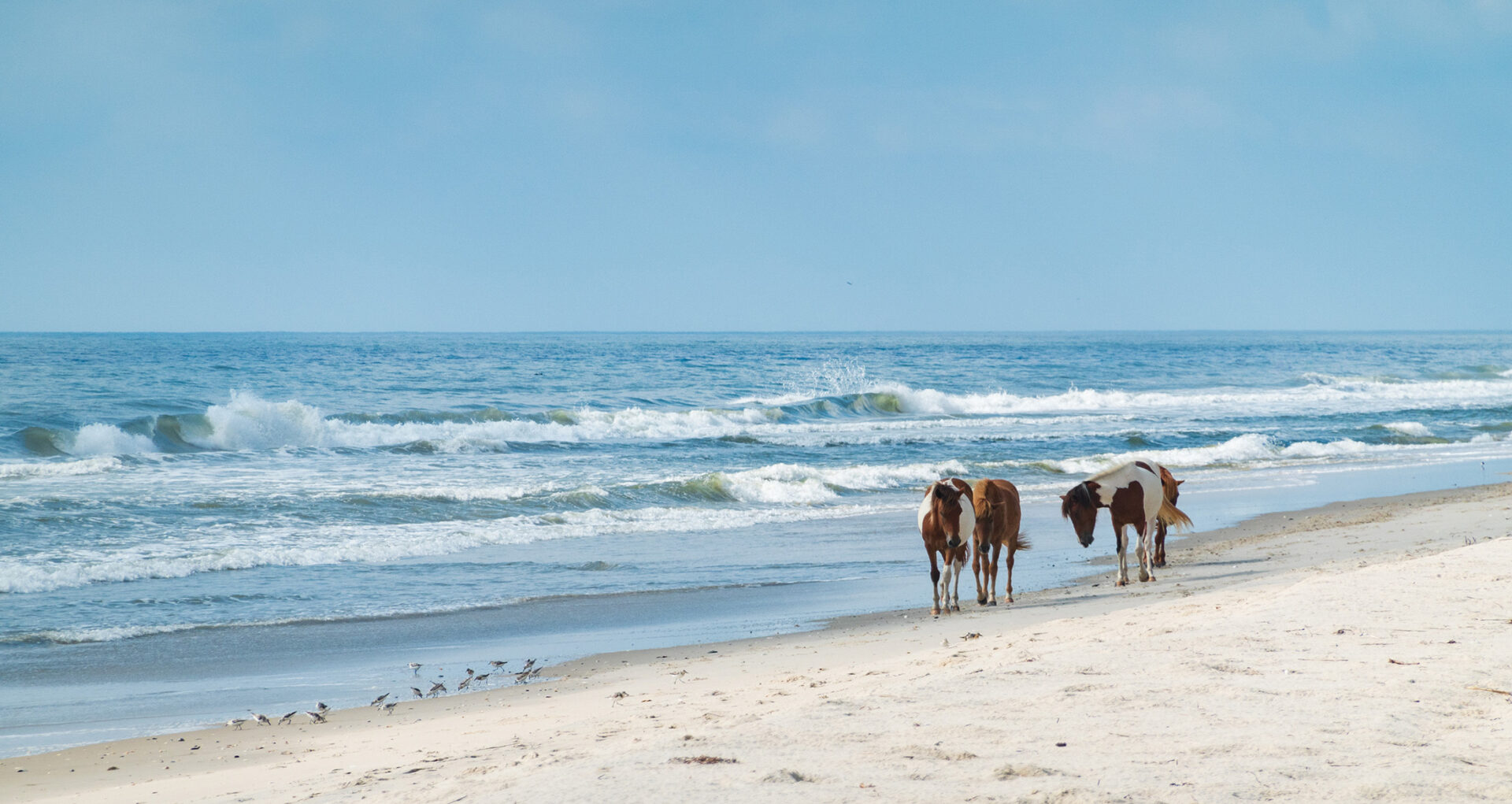 Assateague Pointe Real Estate for Sale
