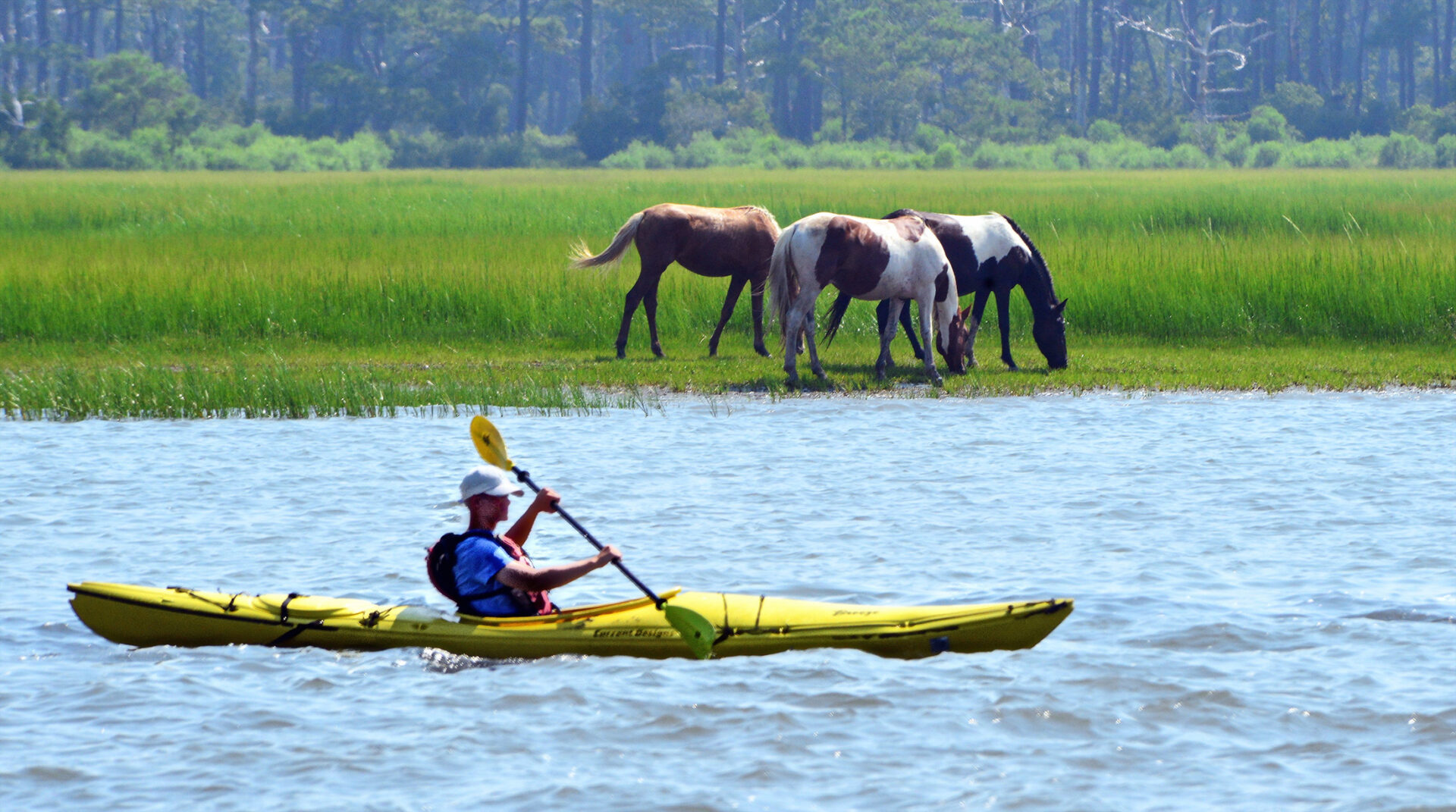 Assateague Pointe Real Estate for Sale