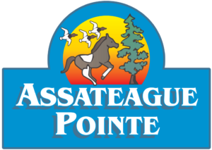 Assateague Pointe logo featuring stylized text and imagery representing the coastal community and its natural surroundings.