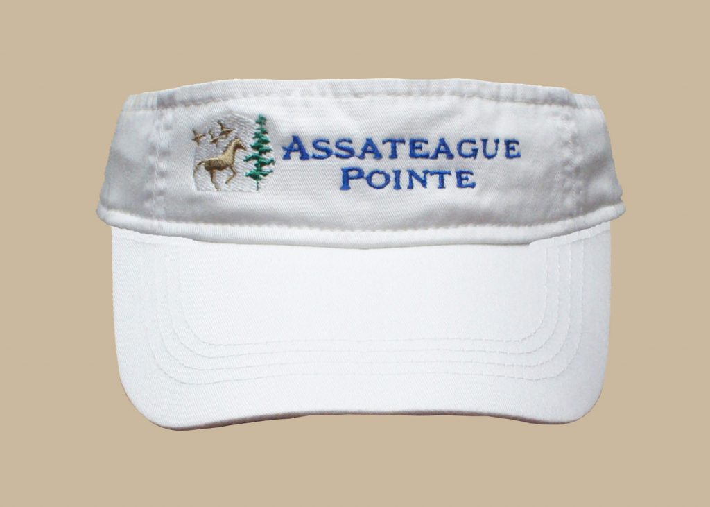 Sun Visor