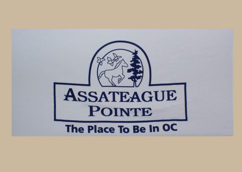Assateague Pointe Beach Towel