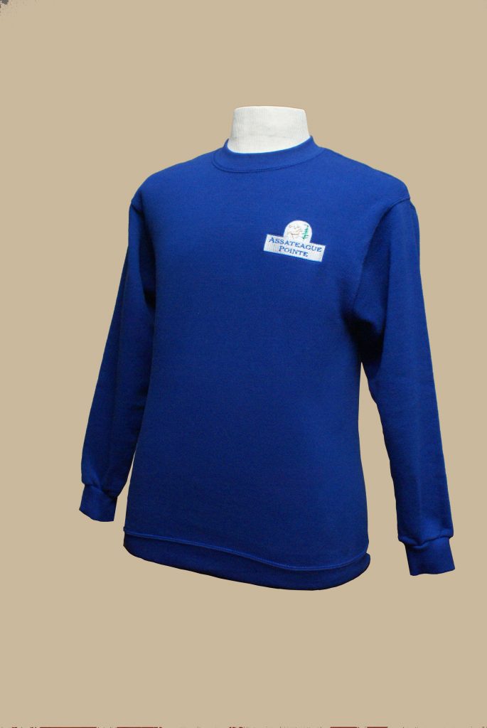 Blue Sweatshirt