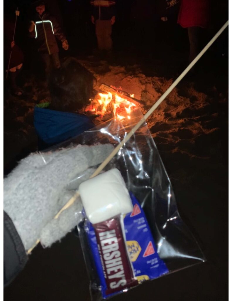 a person holding a marshmallow over a campfire