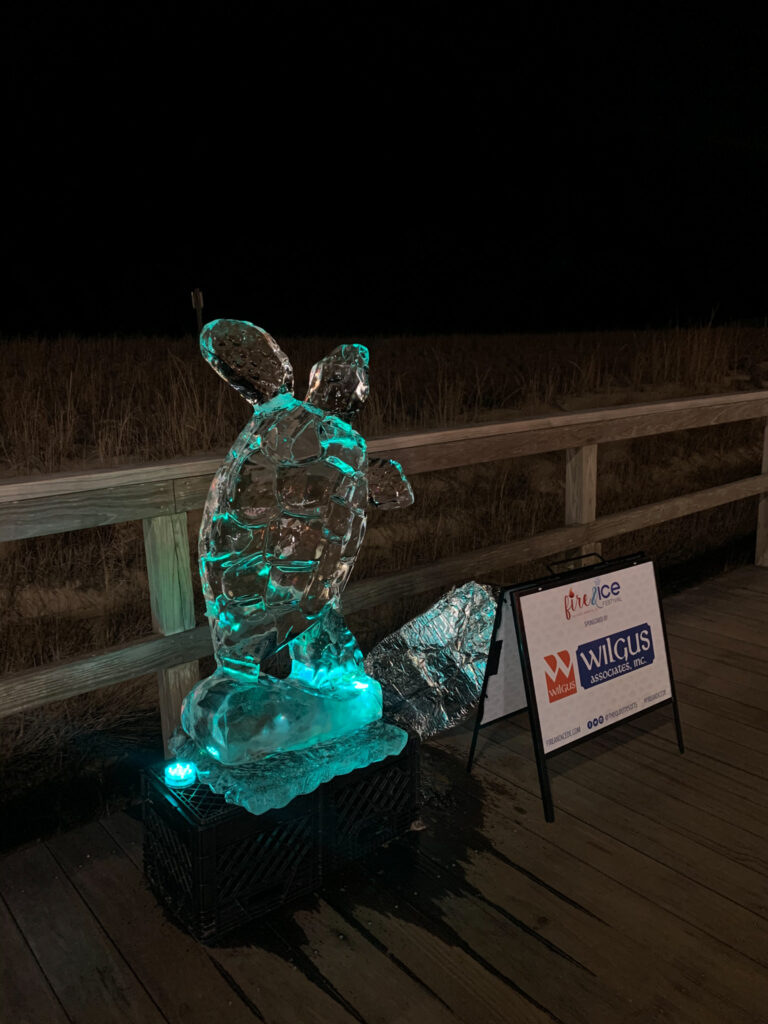 a light up turtle on a wooden deck