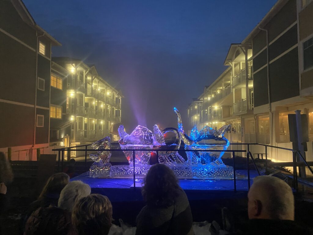 a group of people watching a performance on a stage