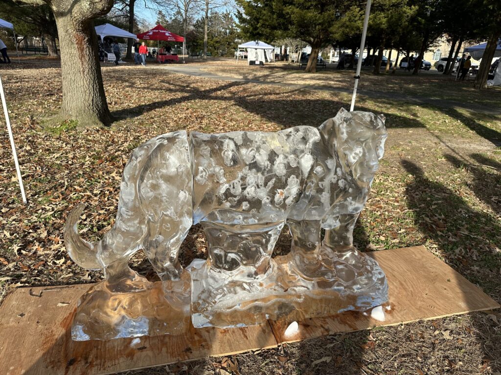 an ice sculpture of a cat on a wooden board