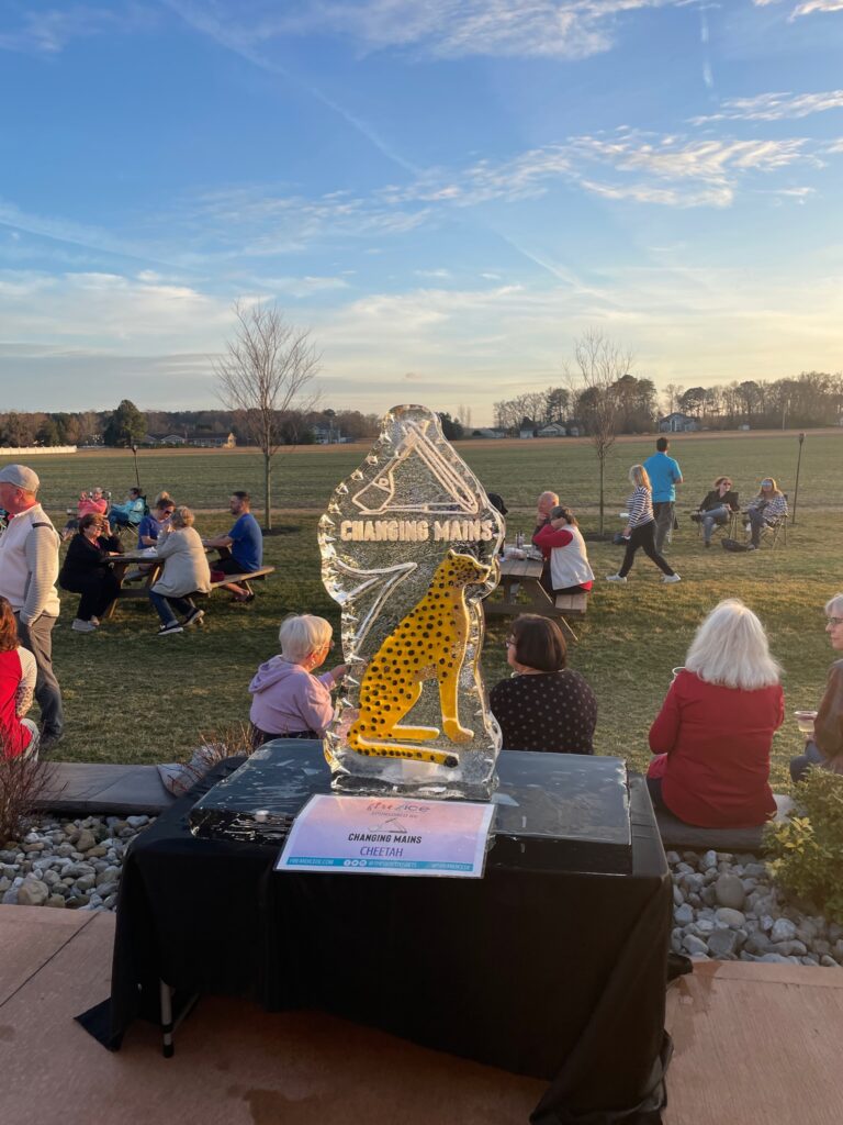 a group of people sitting around a table in a field