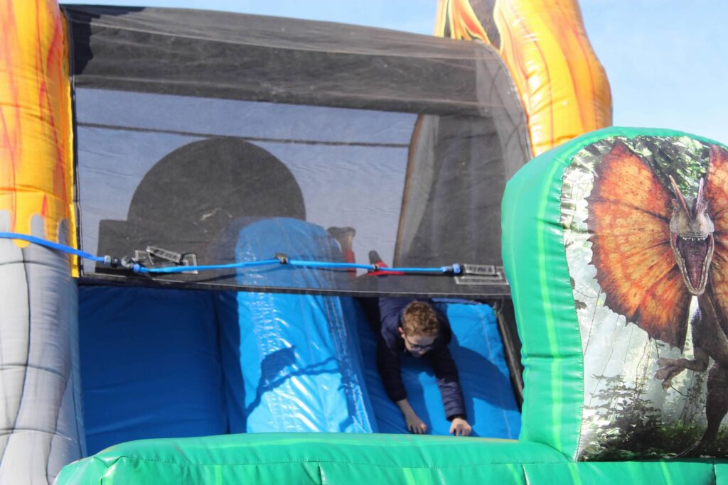 a dog in a bouncy house with a slide