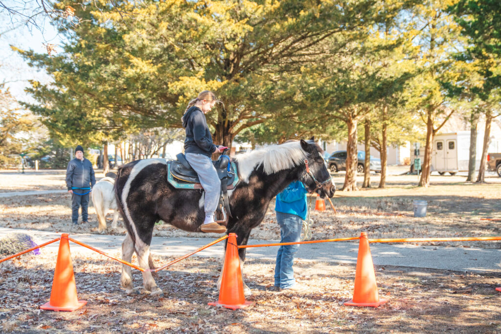 a person riding a horse through an obstacle course