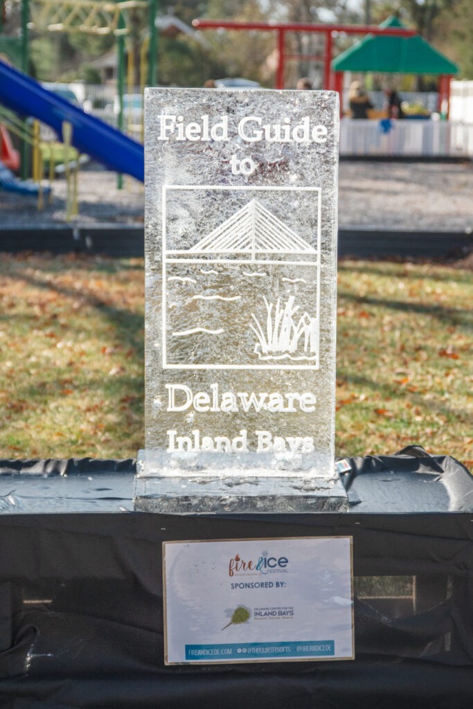 a clear award sitting on top of a black box