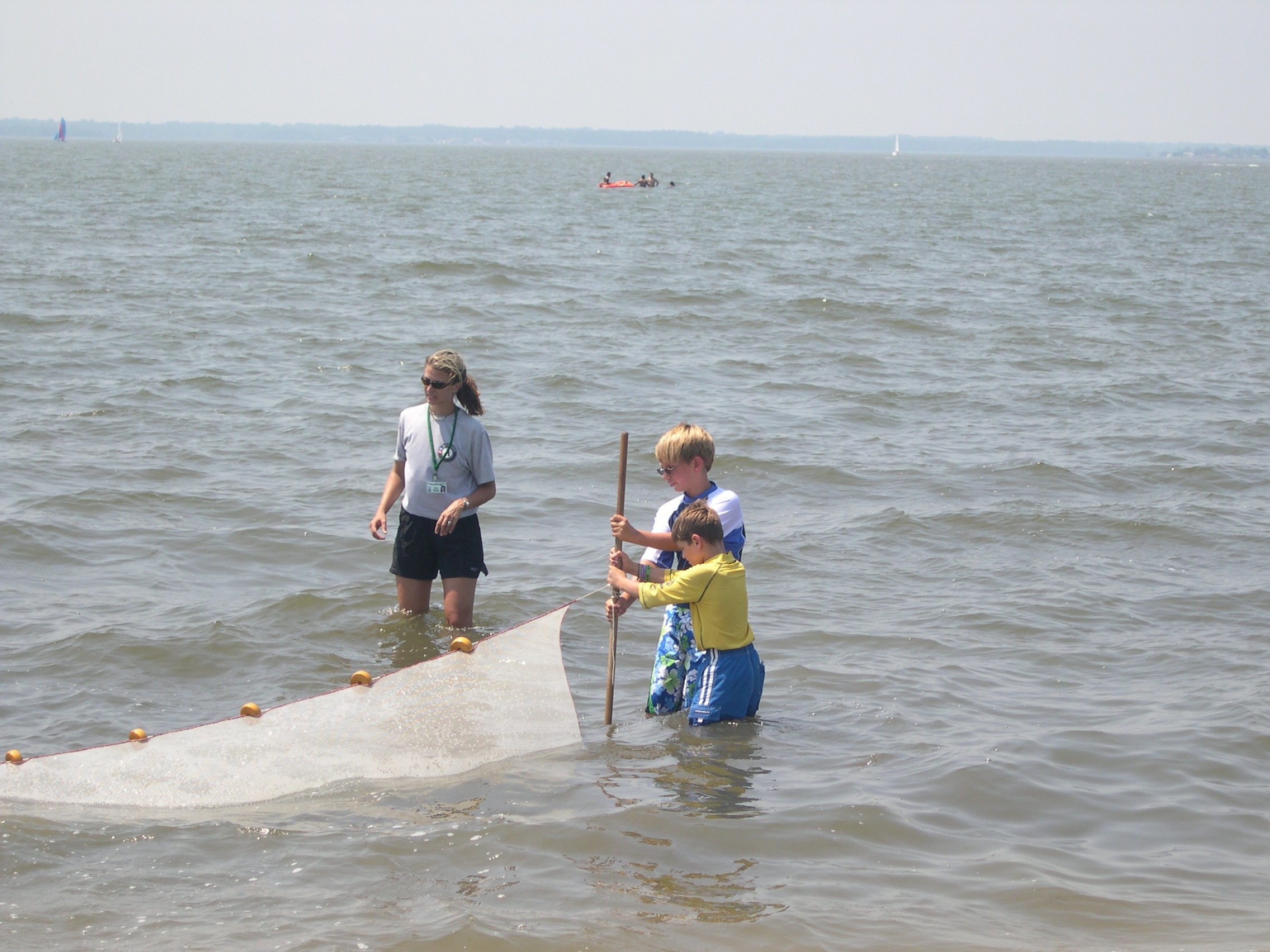 Seining