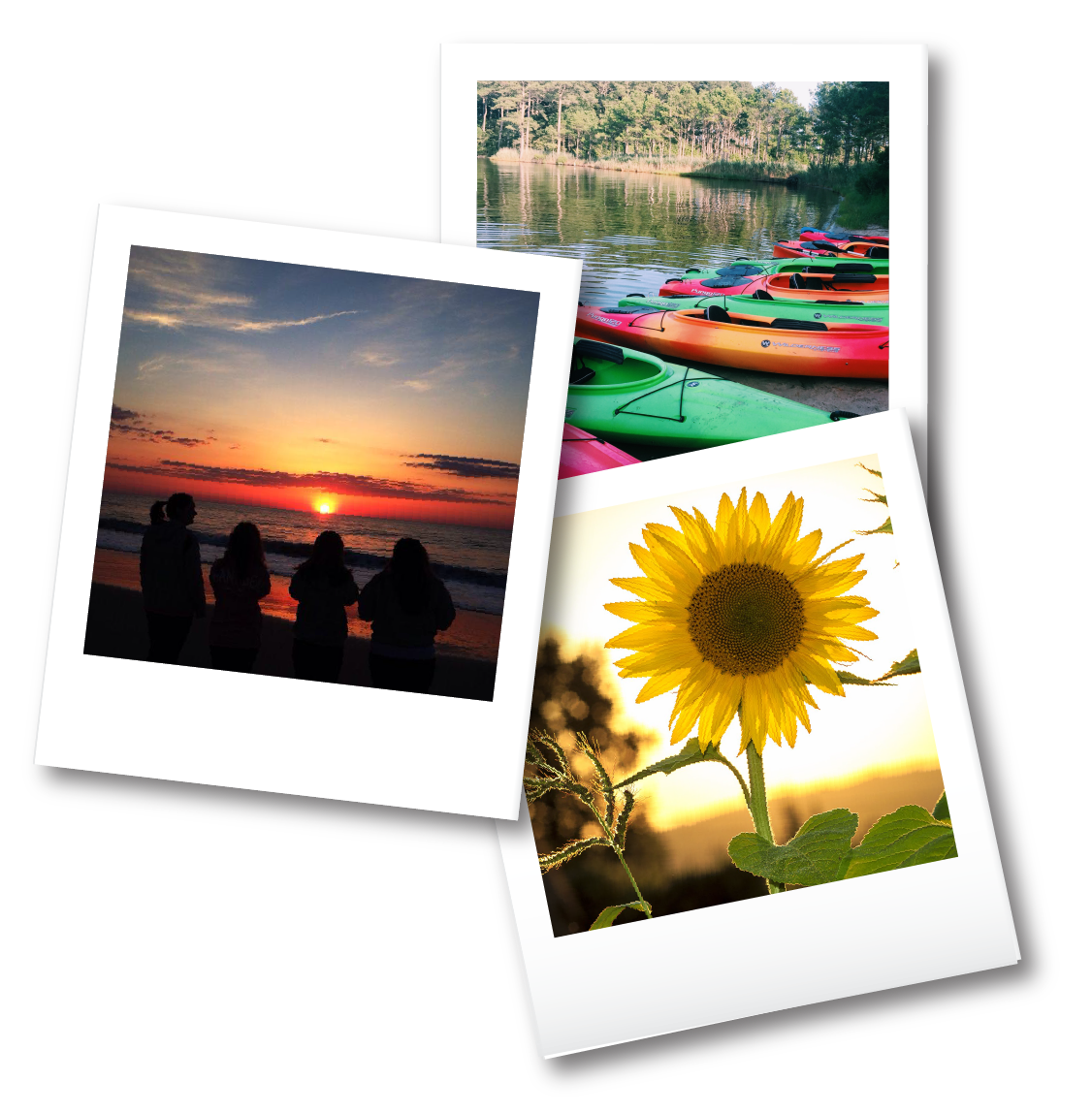 Photos 01