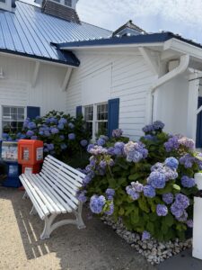 a white house with blue shutters and a bench in front of it