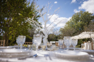 a table set for a formal dinner outdoors