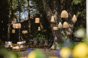a group of chairs sitting under a tree