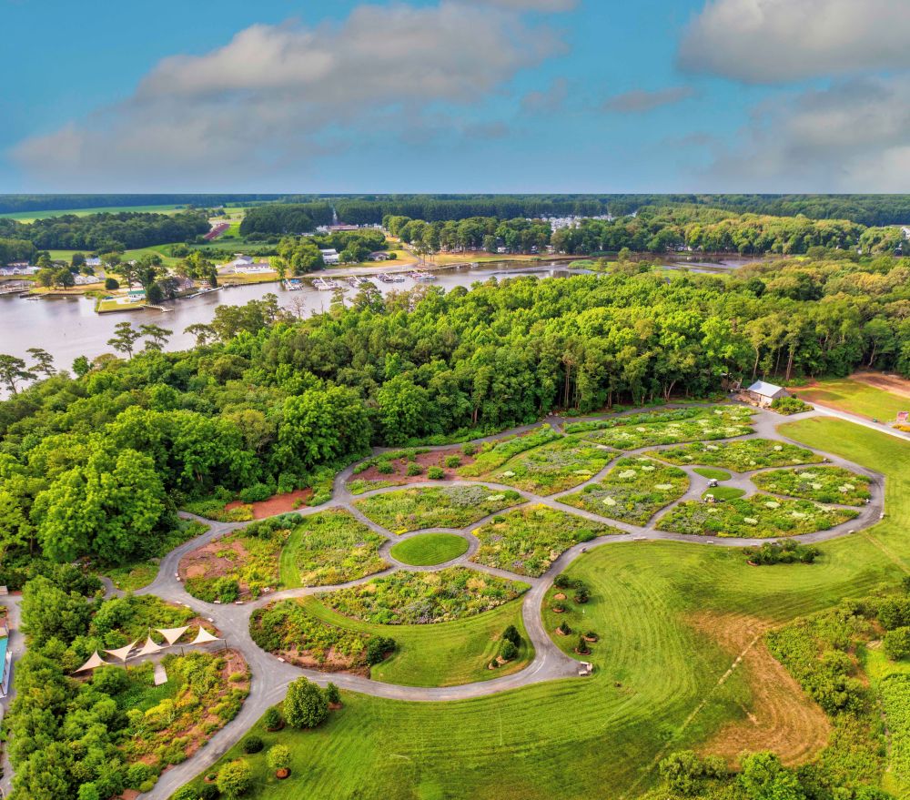 a bird's eye view of a lush green park