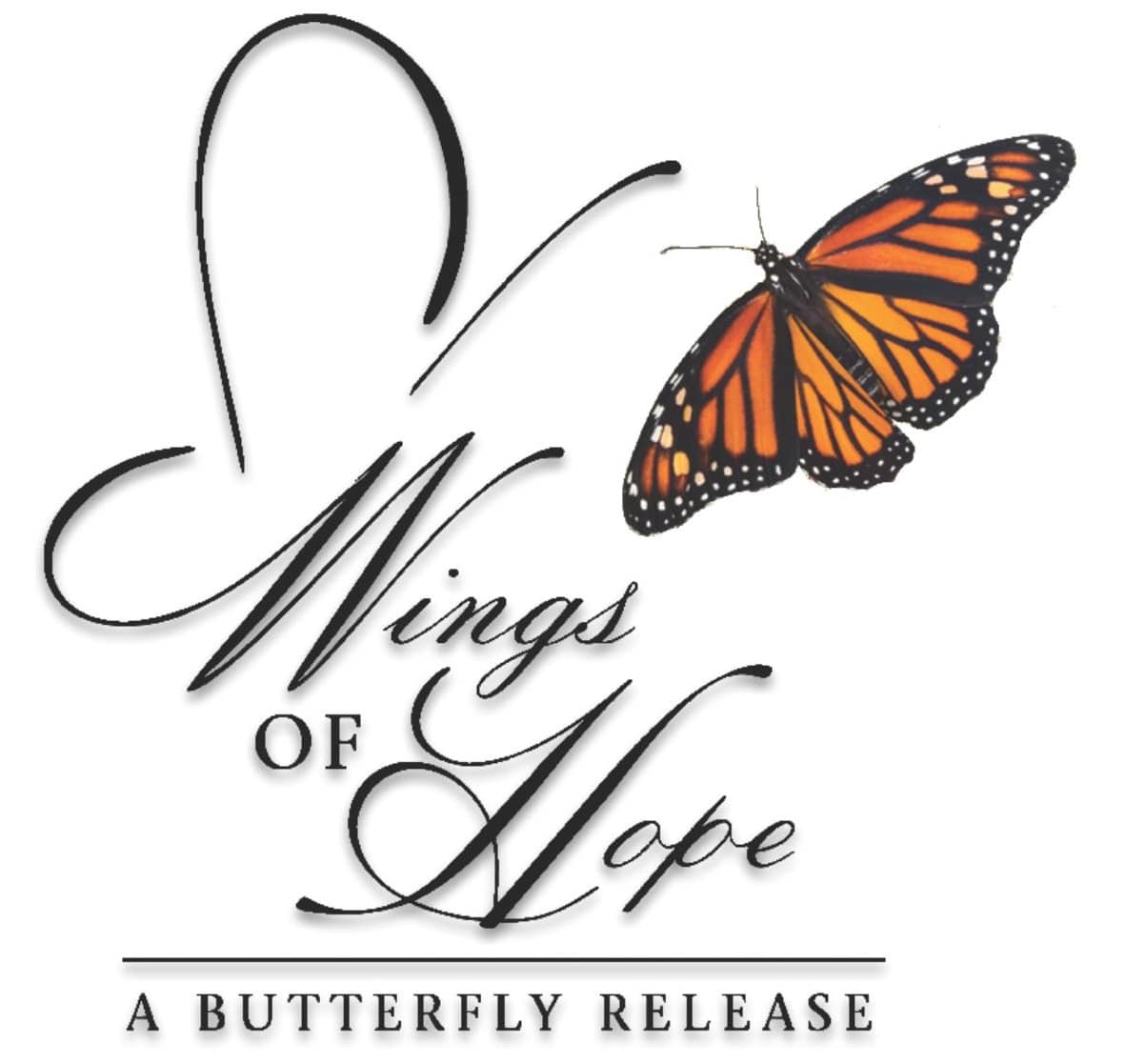 a picture of a butterfly with the words wings of hope