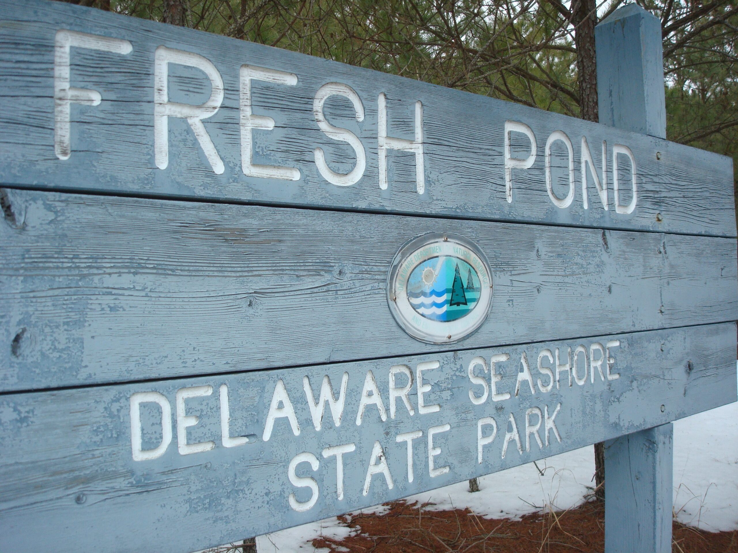 image of Fresh Pond