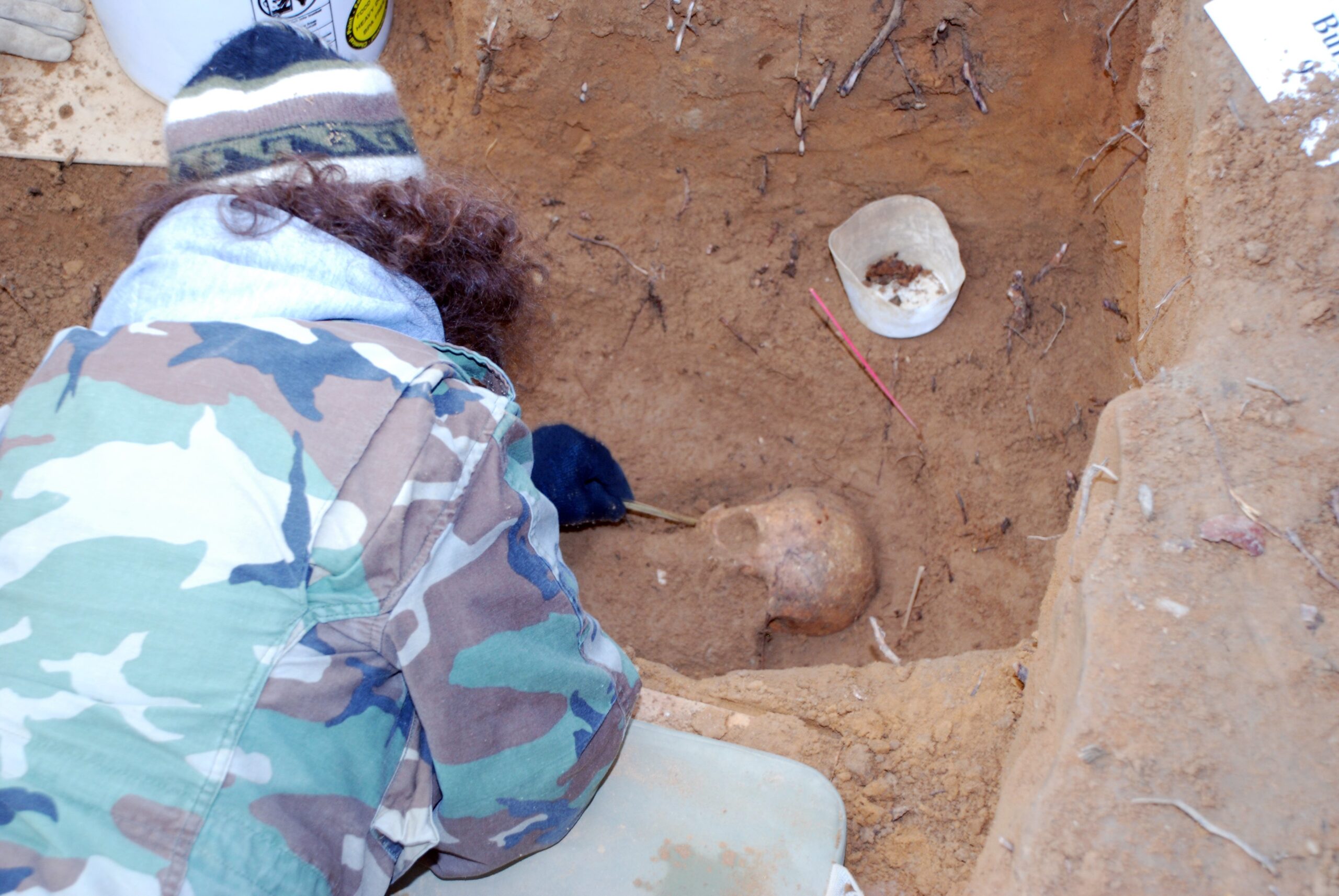 Oct 21 Image Emerging Skull
