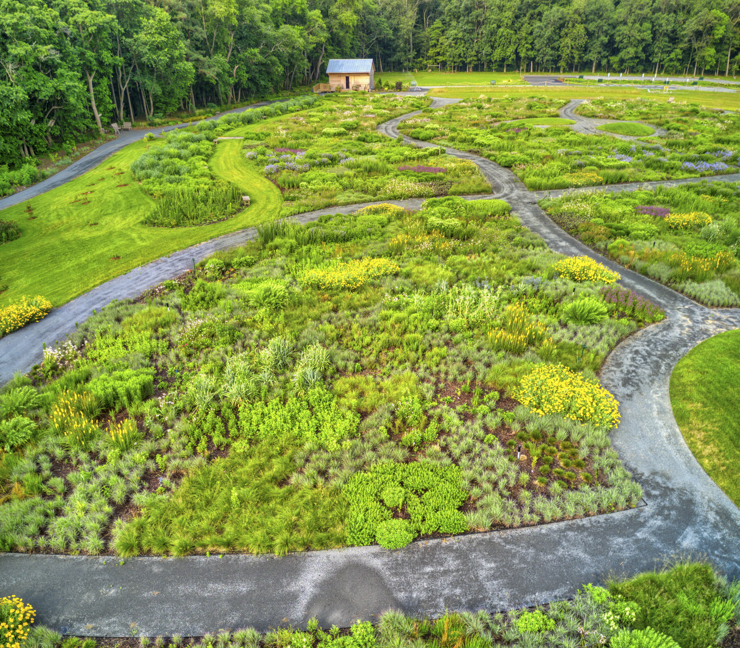 meadow-garden