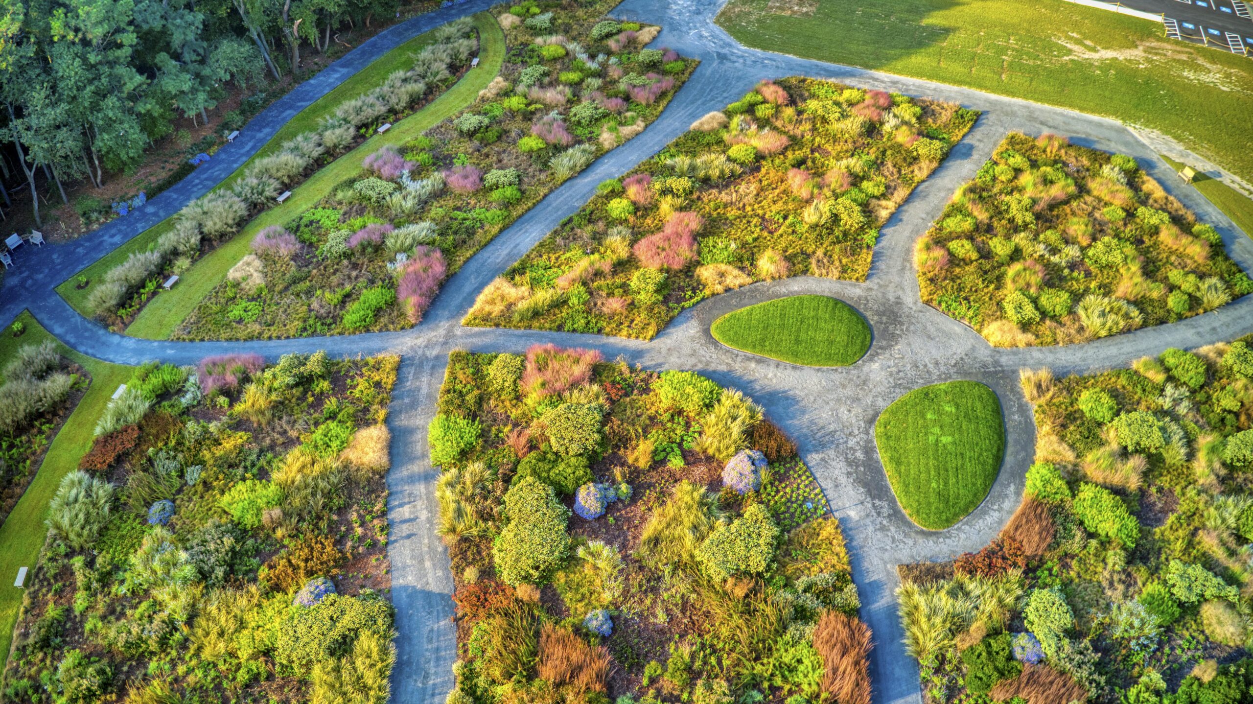 above-the-meadow-garden