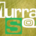 Murray Sod Logo With Background
