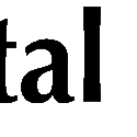 Coastal Point Logo