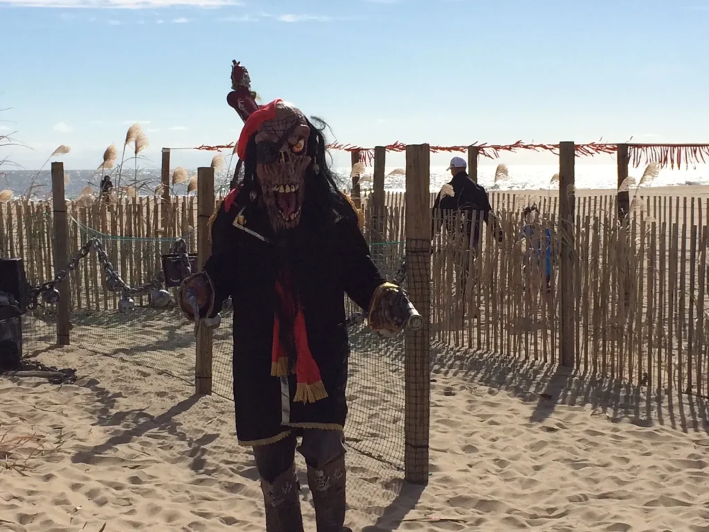 a man in a pirate costume on the beach