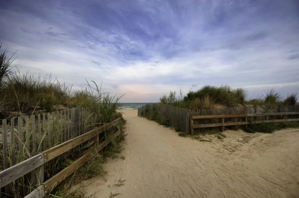 a path to the beach leading to the ocean