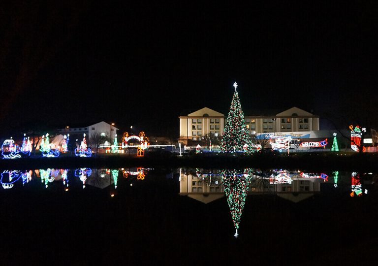 a lighted christmas tree in the middle of a lake