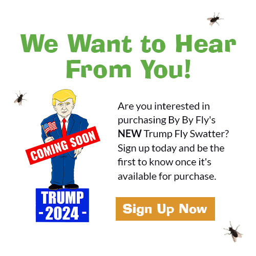 Trump 2024 fly swatter pre-order popup