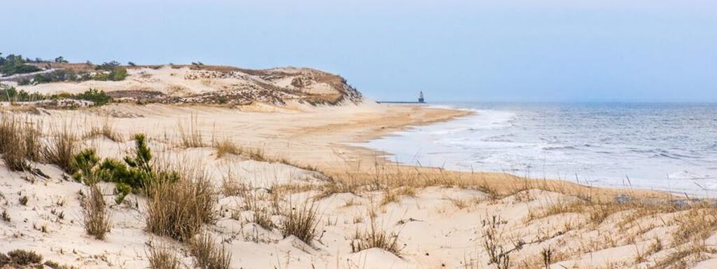 a sandy beach next to a body of water