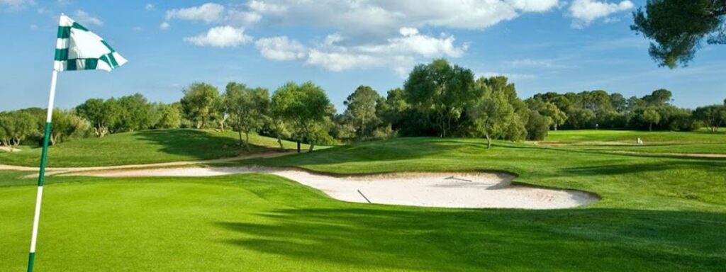 a golf course with a green and white flag