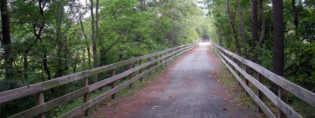 a wooden bridge in the middle of a forest