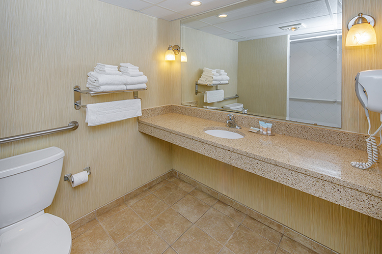 a bathroom with a sink, toilet, and mirror