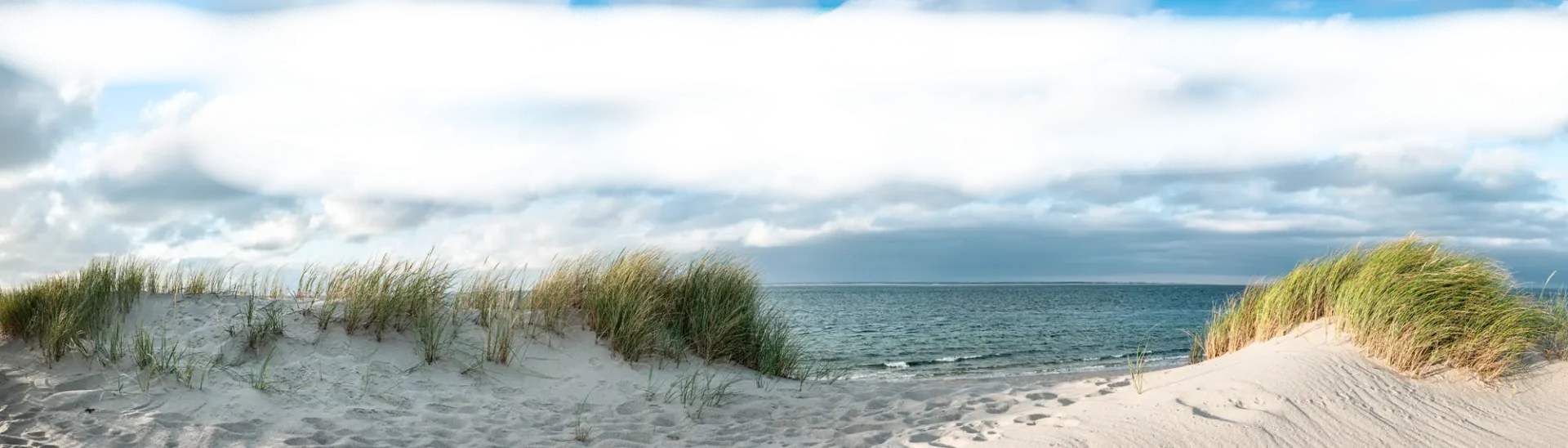 A path on the beach leading to the ocean.