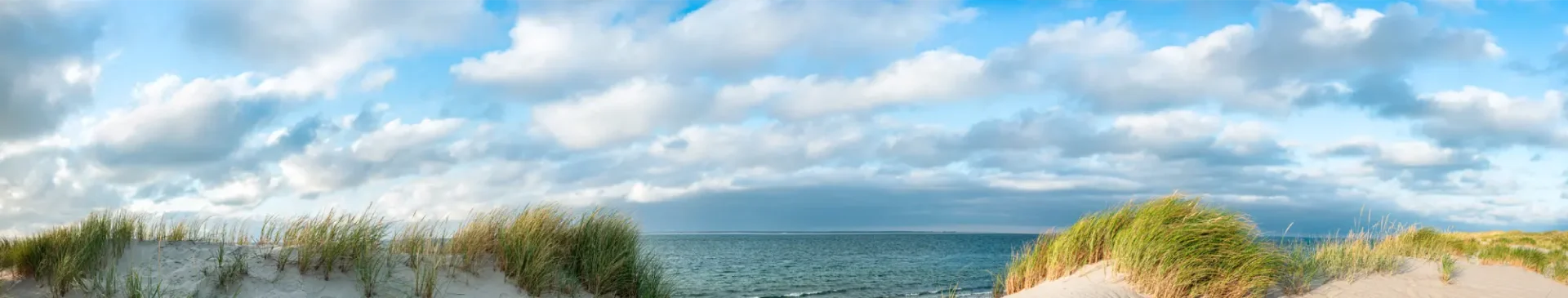 Beach dunes