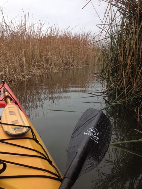 Itty bitty trail through the marsh grass to the take out