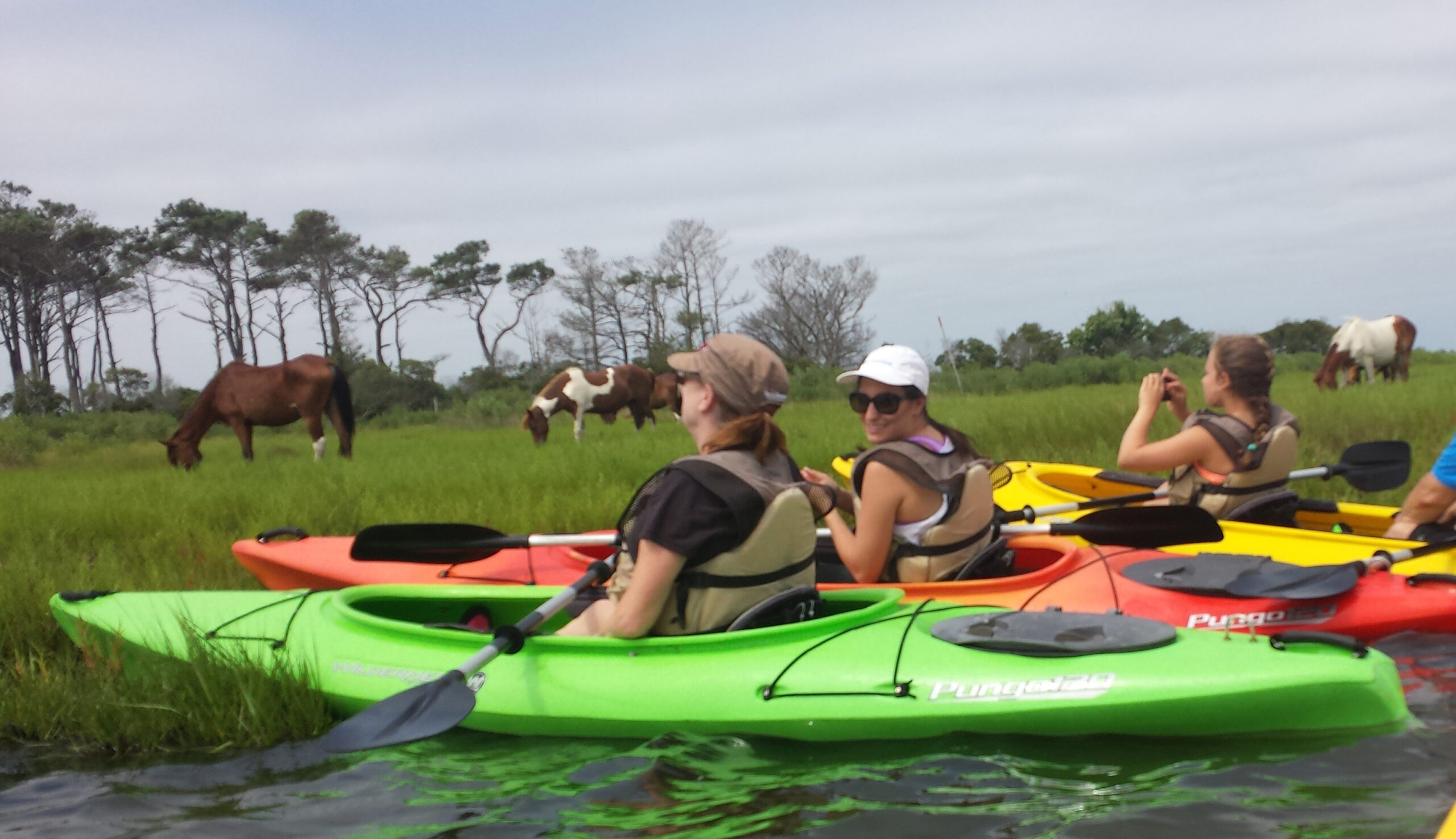 kayaks&ponies7-16web kayaks&ponies7-16web