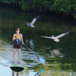 sup tour pelican web 1