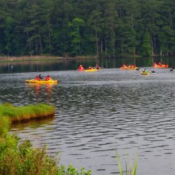 sassafras landing tour1 1