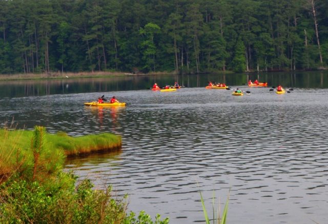 sassafras landing tour1 1