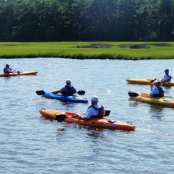 sassafras landing2